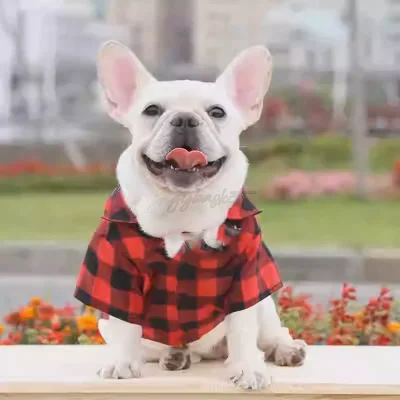 Shein Winter Dog Shirt for Christmas