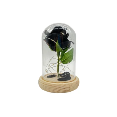 Elegant Black Rose in Glass Dome – A Touch of Mystique with lights