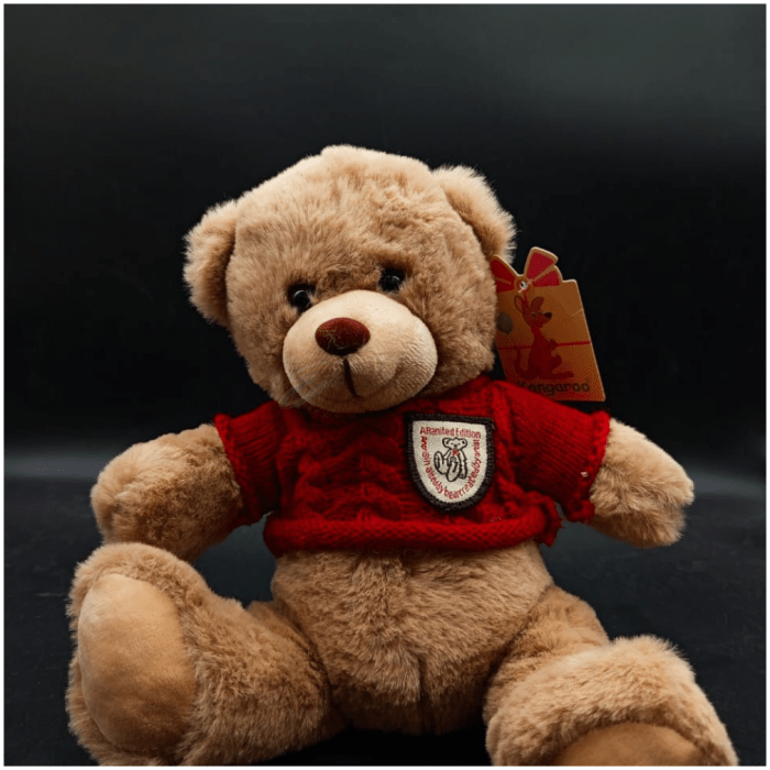 premium teddy bear with mixed colors tshirt - Image 3