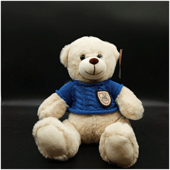 premium teddy bear with mixed colors tshirt - Image 2